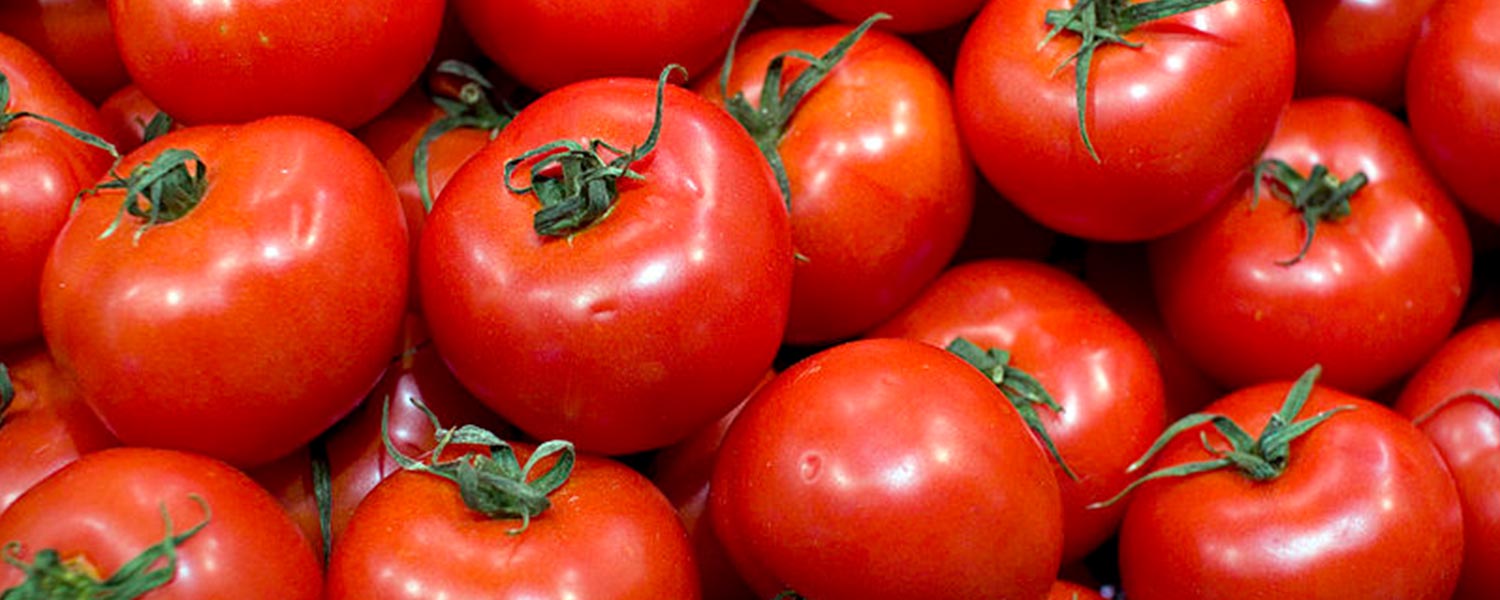 frozen-tomatoes