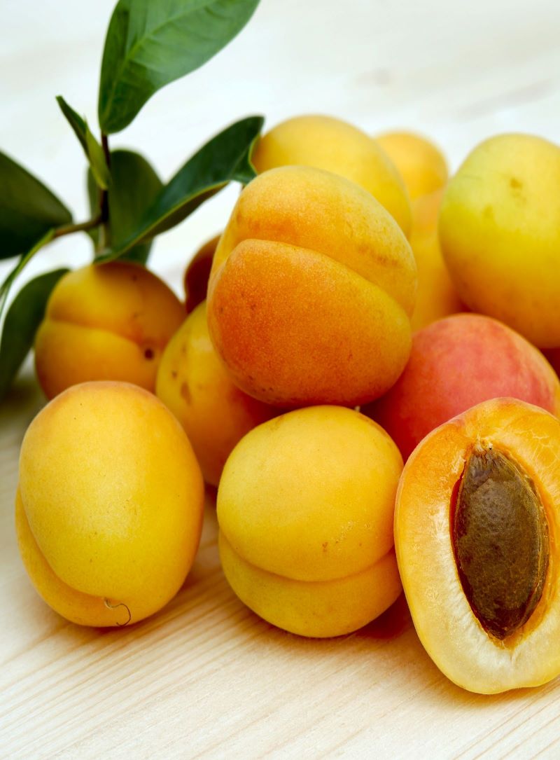 Apricots fresh fruit